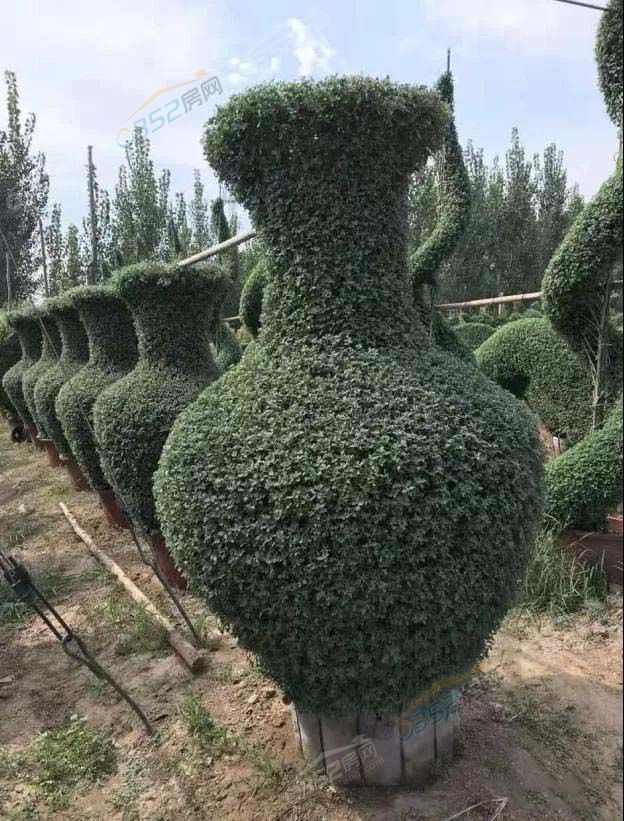 031507038cc2dc3a577421.jpg 微信圖片_20190903150320.jpg