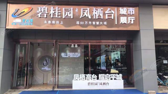 �̹��@�P���_չ�d