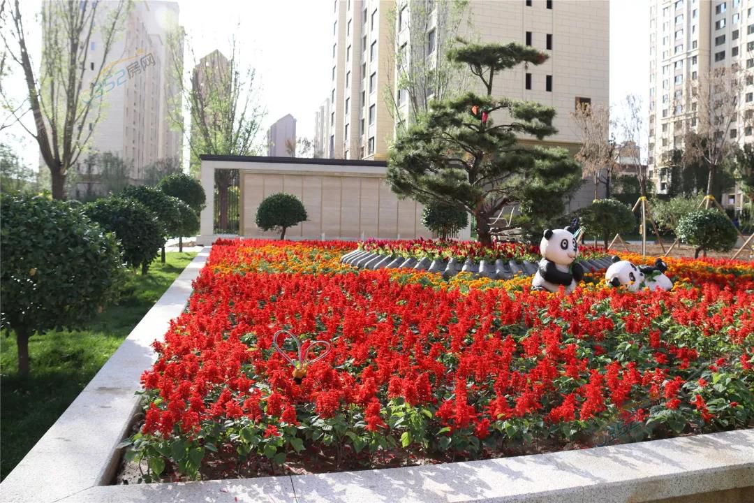 17153933d3238252843337.jpg 17153933d3238252843337.jpg