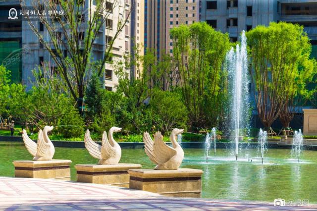 �@�֌����D