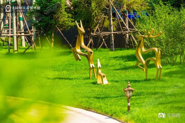 �@�֌����D