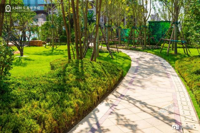 �@�֌����D