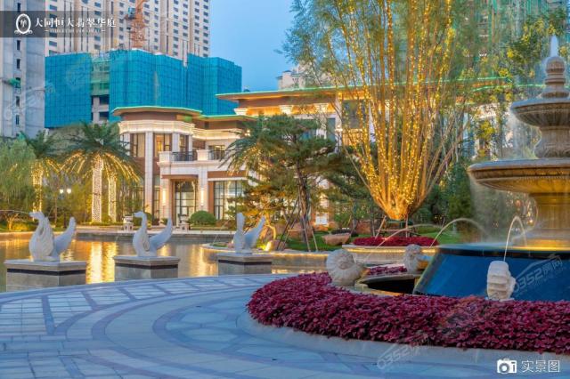 �@�֌����D