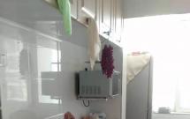 ����@ 2��2�d1�l(w��i) 100.5�O ���b�� �Ҿ߼�� ��t�� ���׸� 28�� �ϱ�ͨ͸ ����(du��)������