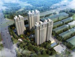 �(y��ng)�⡤ʮ�����