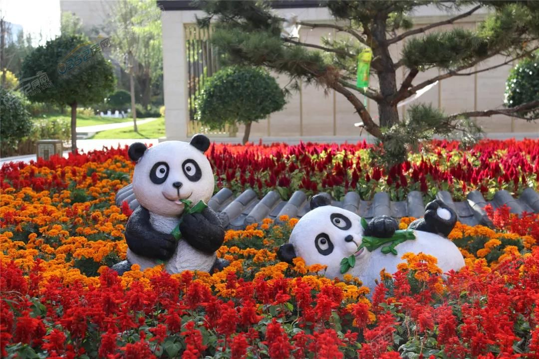 11145104d04c7f02a32482.jpg 11145104d04c7f02a32482.jpg