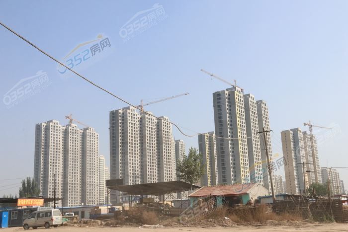 161157294aacab69924718.jpg IMG_4475.JPG