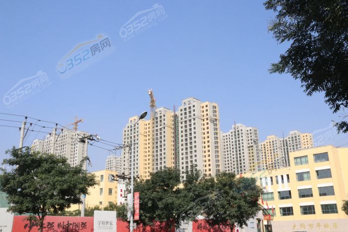 16115736370ccda1a80039.jpg IMG_4474.JPG