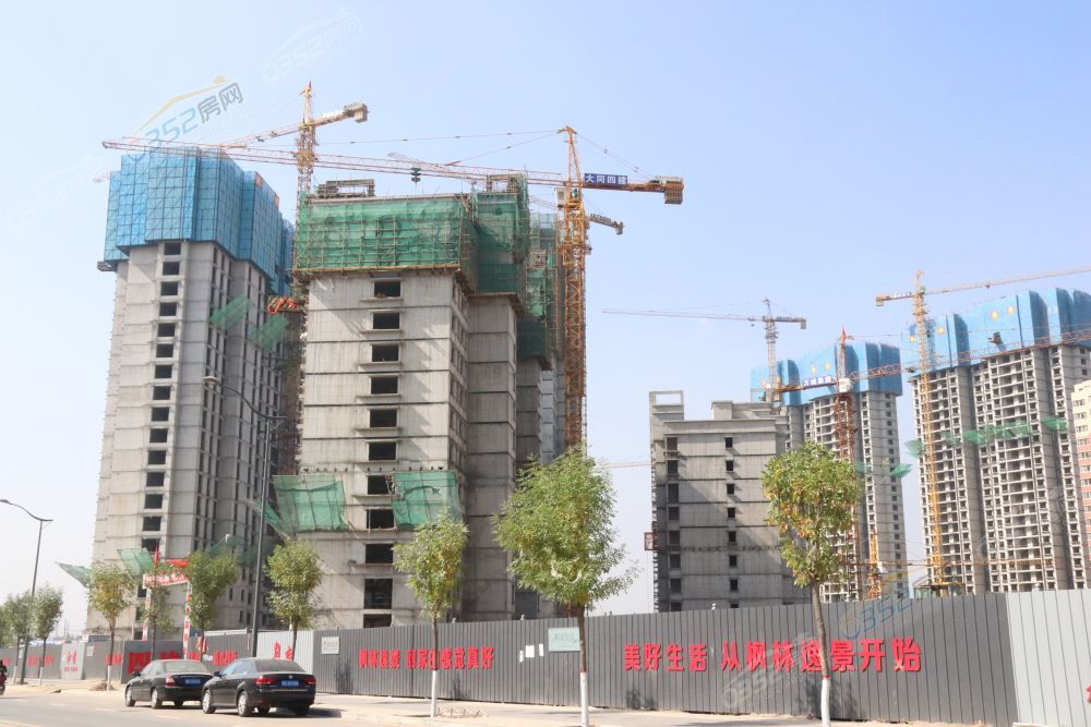 16144317ae979a8ac41319.jpg IMG_4493.JPG