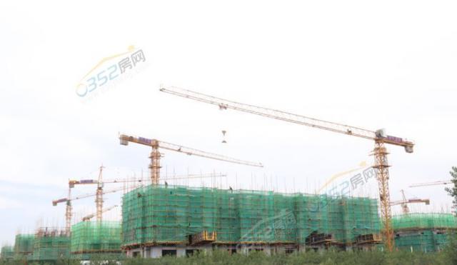 2019.9.15�����M�Ȍ����D