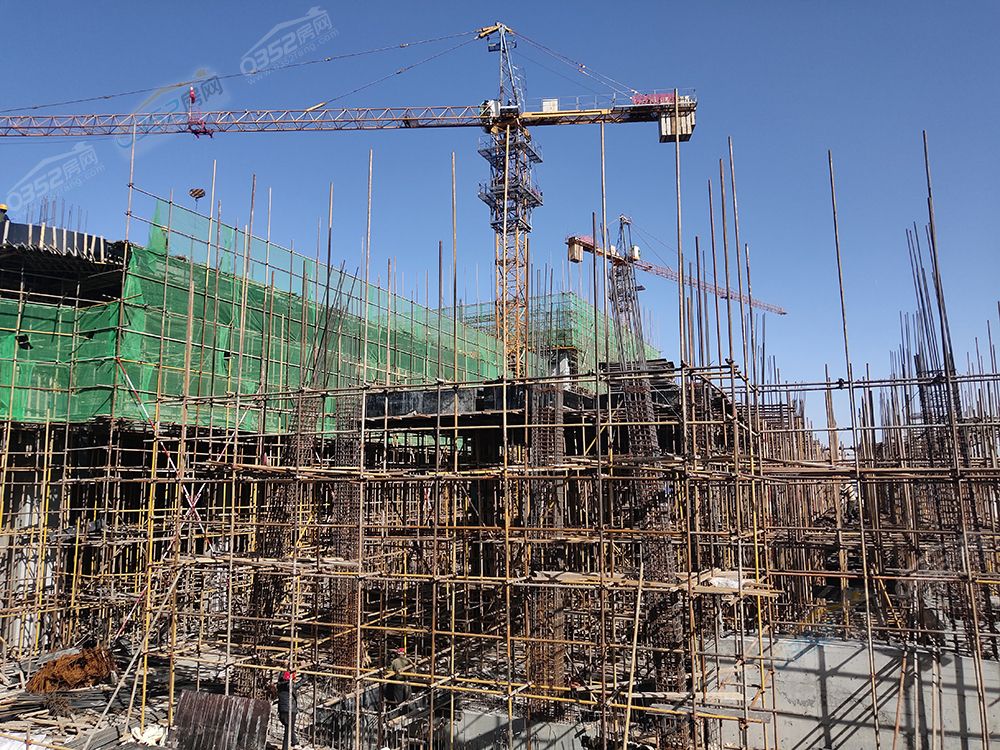 2409462003a089af5e3685.jpg 2409462003a089af5e3685.jpg