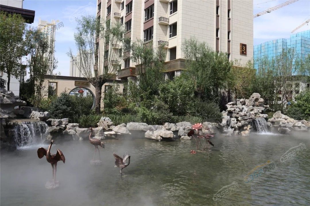 2416123229651816cf0159.jpg 2416123229651816cf0159.jpg