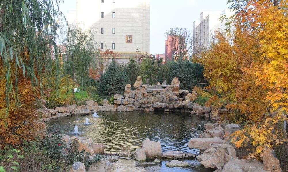 241613474b952cff295087.jpg 241613474b952cff295087.jpg