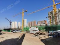 �d����ϯ10�¹����M��