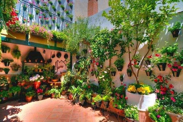 01170946bf1d50f1271924.jpg 776.jpg