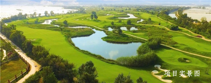 03172633236991ce863495.png 1.png