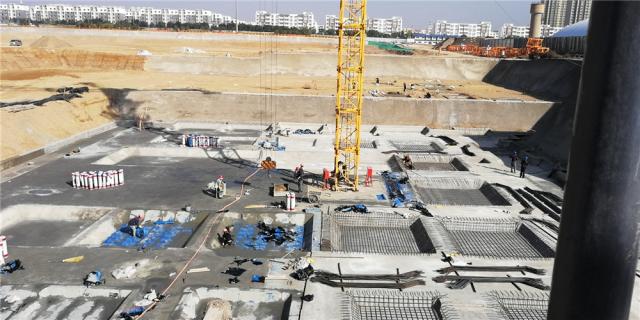 �����ɽ��11�����D