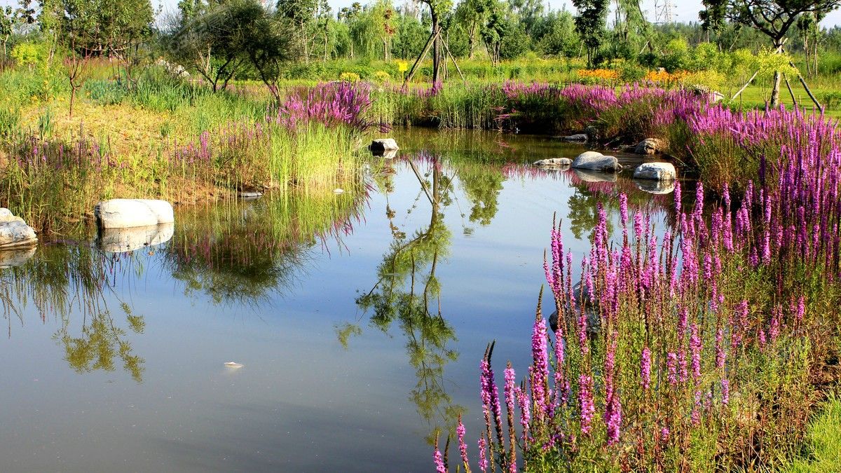 0717101555d0fe28b89971.jpg 0717101555d0fe28b89971.jpg