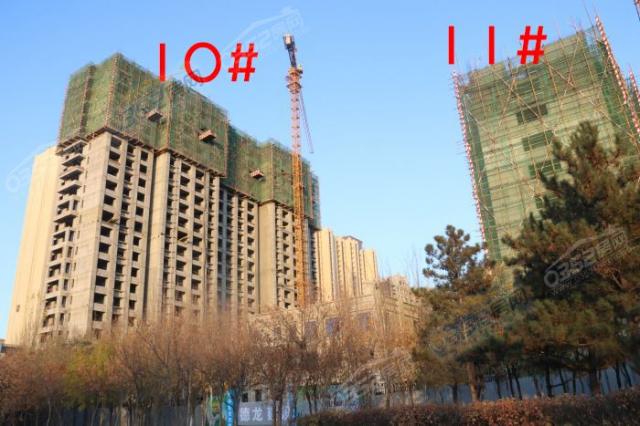 2019.11.8�Ռ����D