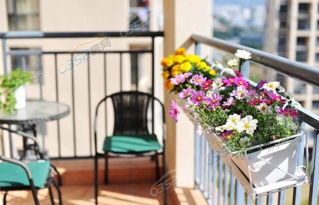 1517014854d1a026853891.jpg 1517014854d1a026853891.jpg