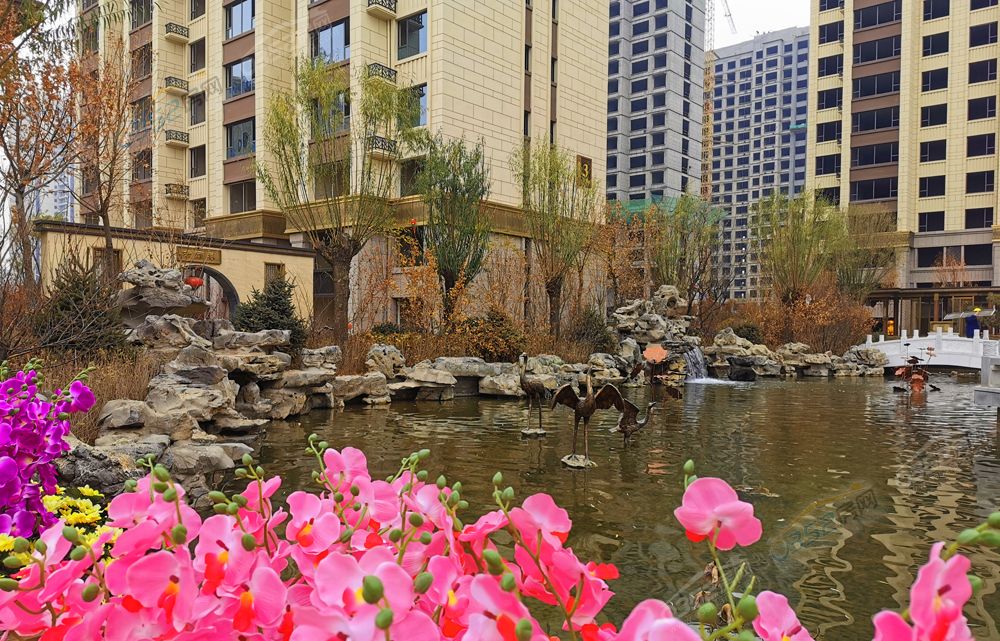 211620366440a680647425.jpg 211620366440a680647425.jpg