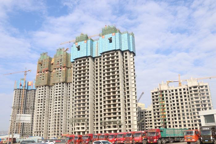 23164222c5a06266388120.jpg IMG_5588.JPG