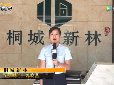 ͩ������ɳ�P(p��n)�v��