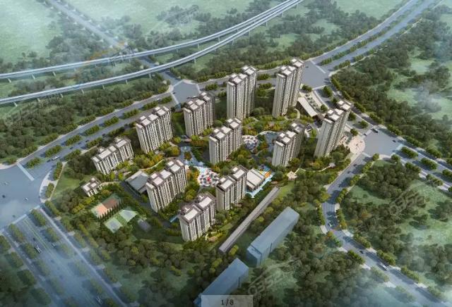 ��������Ч���D