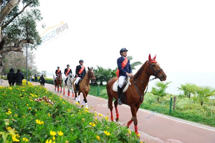 05101453bf7b09e5985860.jpg 鍥劇墖1.jpg