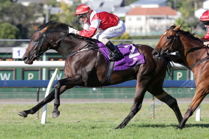 05101616e7d507fdda3891.jpg 鍥劇墖4.jpg