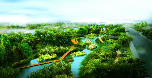 ʮ���Ч���D