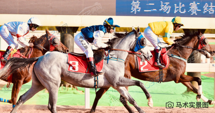 13093834cfd0fd6f4a3628.png 圖片14.png