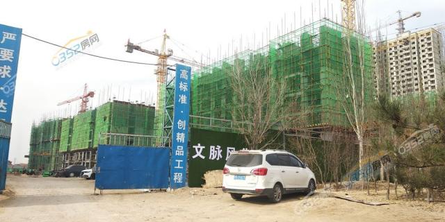 ���d��ϯ11�¹����M��