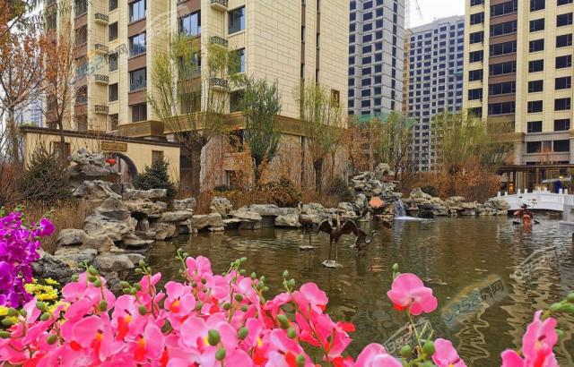 ���𸮈@�ֶ��վ��^