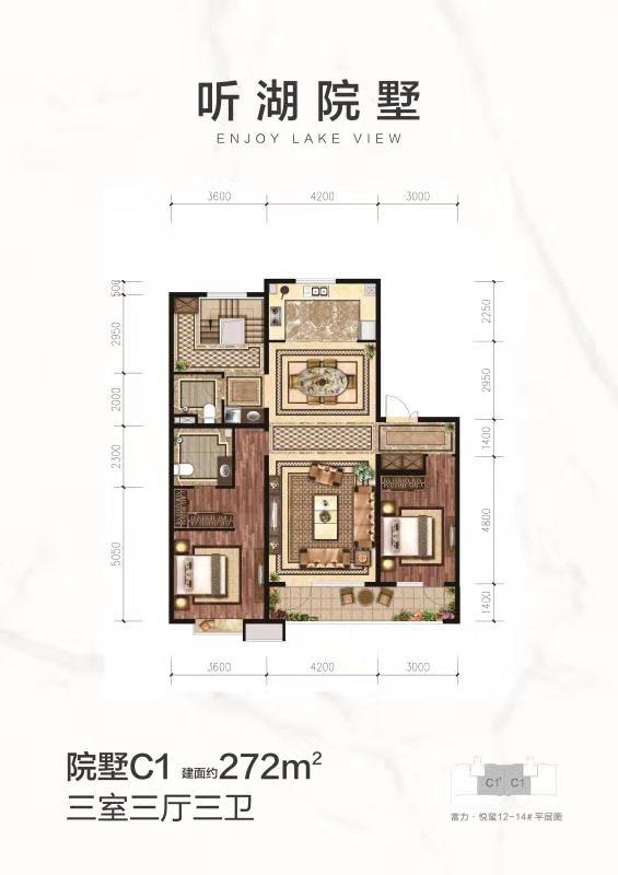 Ժ��C1����