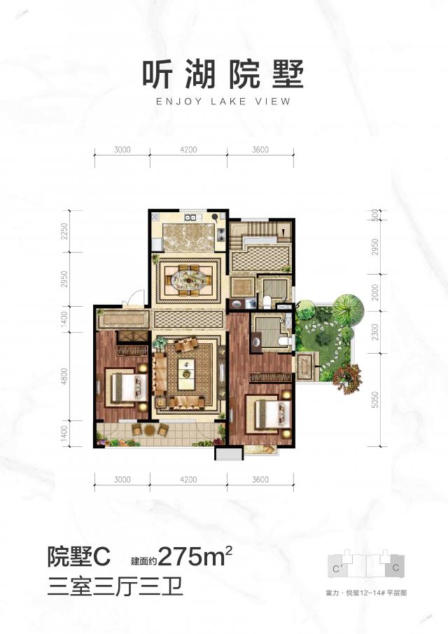 Ժ��C����