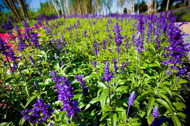 ��������^����