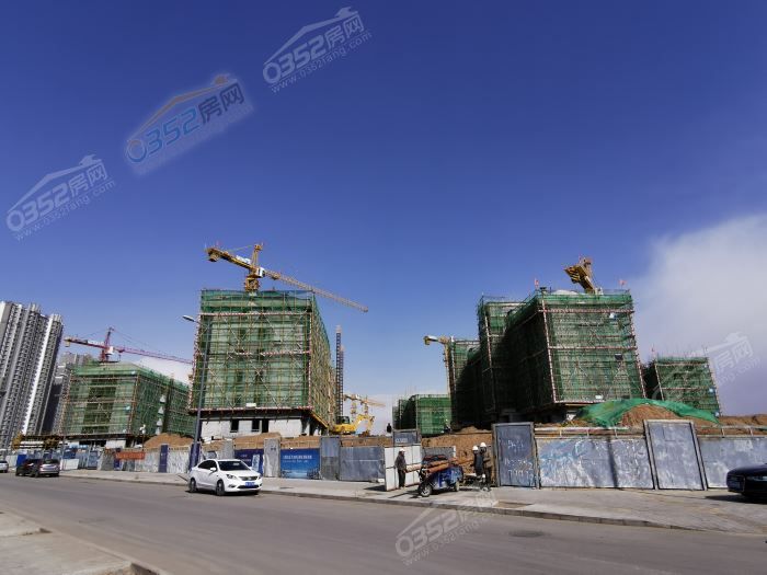 18165104eb1134b6ac7094.jpg 8.jpg