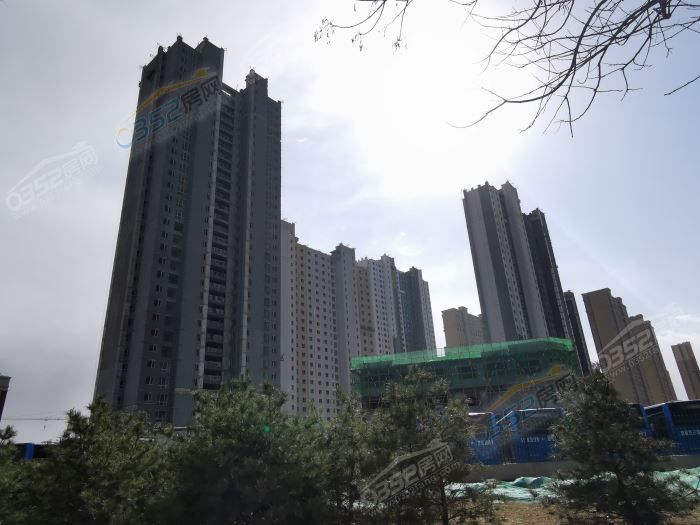 18165129f9637e2fed2908.jpg 9.jpg