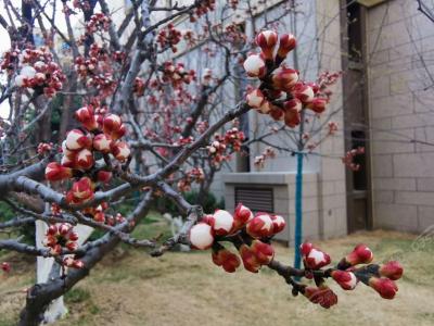 �����@�@�־��^