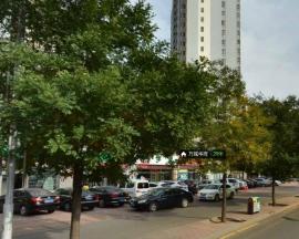 �f���A��һ��