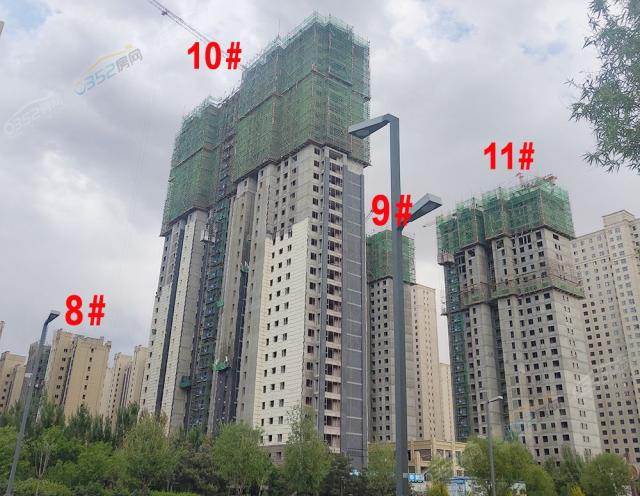 2020.5.20���Ŀ�����D