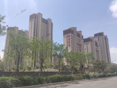 2020.5.29�����M��