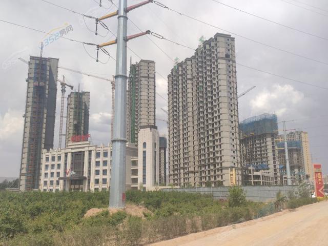 2020.5.29�����M��