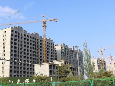 ꖹ��B��5�����D