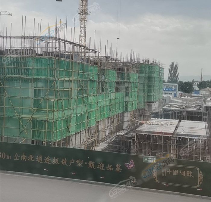 05173433dd725422049223.jpg 寰?俊鍥劇墖_20200605173319.jpg