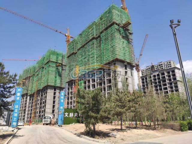 ���d��ϯ�Ŀ5�¹����M��