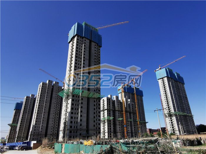 301807523378efa26c3382.jpg 灝氶儭涓夋湡.jpg