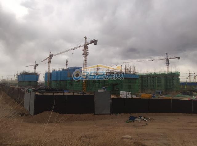 2020.5.30�����M��