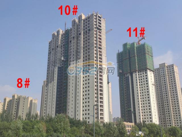 2020.6.30�������潨�O